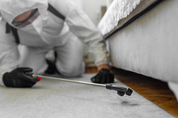 Professional Termite Control technician working in Russiaville, IN
