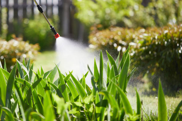 24/7 Emergency Termite Control experts in Russiaville, IN