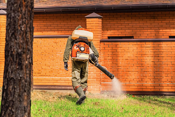 Trusted Ant Control service in Russiaville, IN - Nex Pest Control